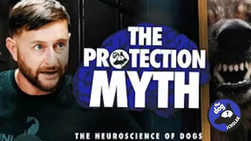 The Dog Scholar — The Protection Myth featuring Danny Wells