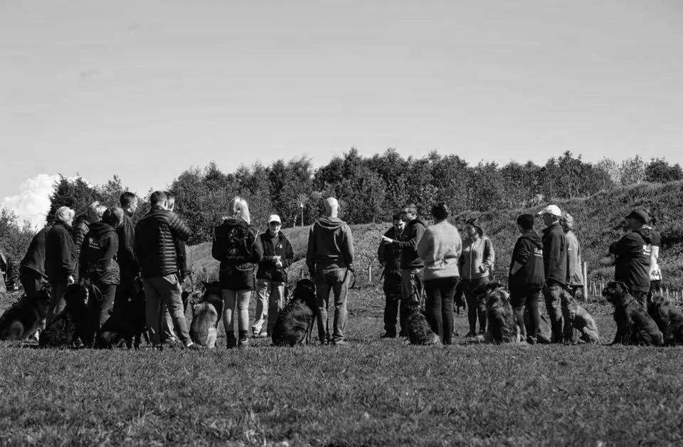 Pack Walks — Off-site training with Unleashed K9